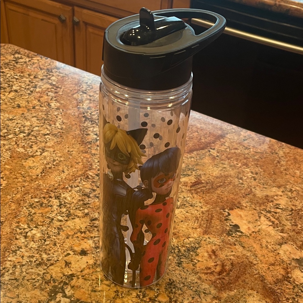 Miraculous Ladybug and Cat Noir Water Bottle